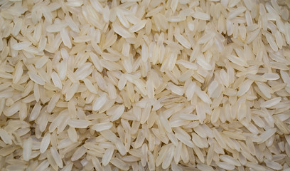 closeup of rice grains (2)