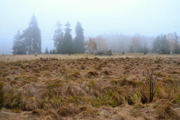 Autumn landscape in Kladska Czech republic
View of the autumnal landscape in fog in autumn