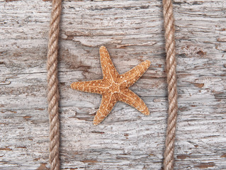 Fototapeta na wymiar Seashell and rope on the old weathered wood