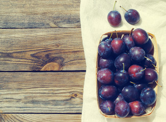 Fresh juicy plums in a wooden basket. Crop of plums
