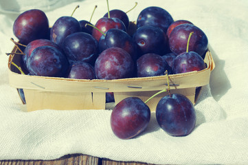 Fresh juicy plums in a wooden basket. Crop of plums
