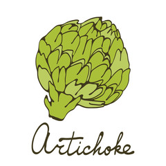 Colorful hand drawn card with artichoke