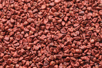 annatto seeds, achiote seeds, bixa orellana seeds