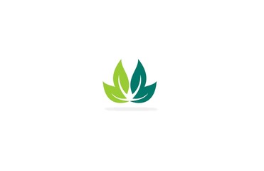 lotus flower health care logo