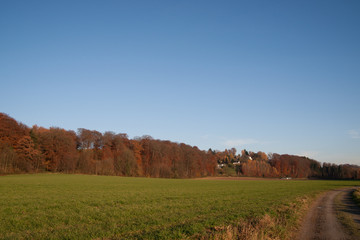 Fototapeta premium Herbstlandschaft mit blauem Himmel