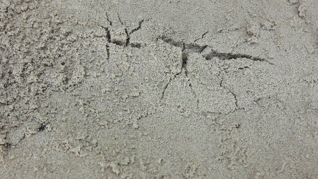Growing Crack in The Ground