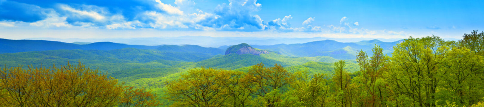 180 Degree Panoramic Of Great Smoky Mountains