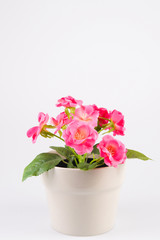 Naklejka na ściany i meble Decorative Pot with Flowers