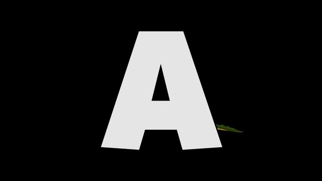 Letter A and Alligator (background)
Animated animal alphabet. HD footage with alpha channel. Animal in a background of letter