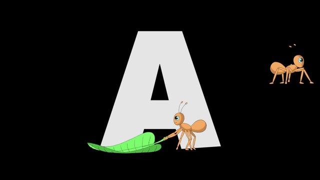 Letter A and Ant (foreground)
Animated animal alphabet. HD footage with alpha channel. Animal in a foreground of letter.