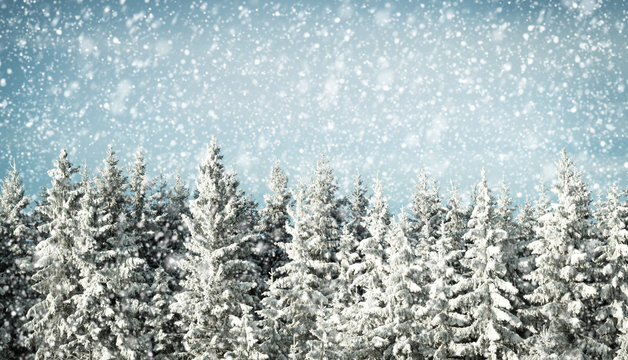 Fototapeta winter background
