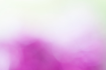Blurred background shades of purple and white.