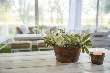 Decoración ambientacion
