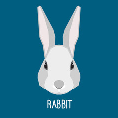 Rabbit portrait