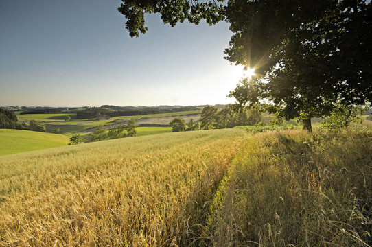 M&uuml;hlviertel