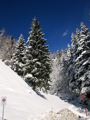 Alta montagna , italy