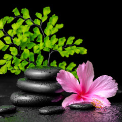 beautiful spa concept of pink hibiscus flower, fern branch and s