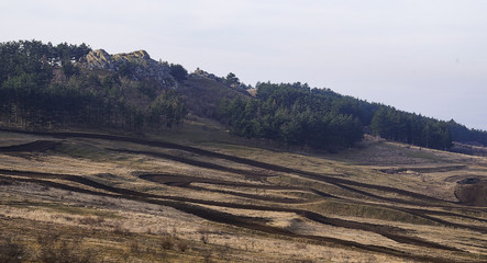 Tor hill and spruce forest on the slopes