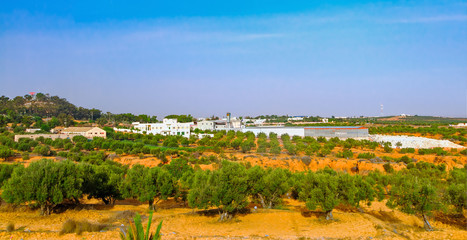Rural landscape in Tunisia