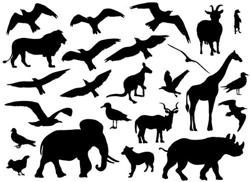 Set of animals silhouettes on white background. Vector illustration