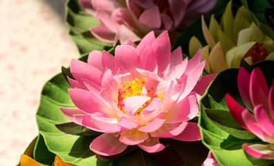 pink plastic lotus on light