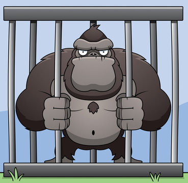 Gorilla Cage