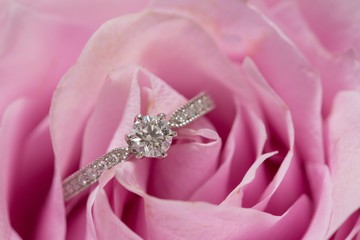 バラと婚約指輪