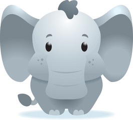 Baby Elephant
