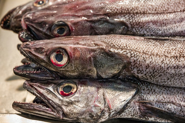 Fish on market, black scabbard (espada) in fish market 
