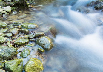 Das fliessende Wasser