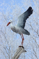 Статуя аиста сидящего на ветке