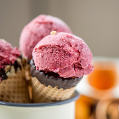 Homemade Fresh Healthy Ice Cream from Berries
