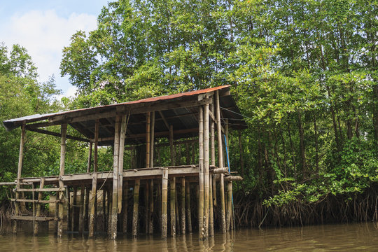 Rest-house in the mangrove forest