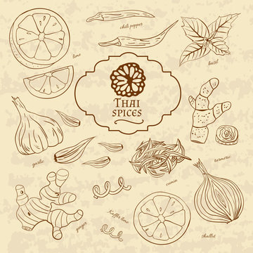 Set of spices cuisines of Thailand on old paper in vintage style.  illustration
