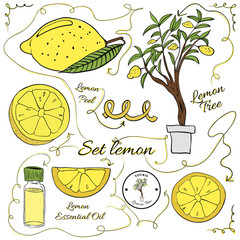 A large set of isolated colorful lemon elements for design on white background. illustration - 102537073