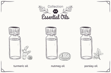 A set of essential oils in black and white style: nutmeg, parsley, turmeric.