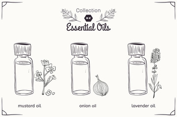 A set of essential oils in black and white style: mustard, onions, lavender. - 102537275