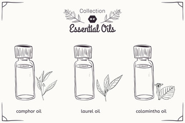 A set of essential oils in black and white style: camphor, Laurel, calamintha.