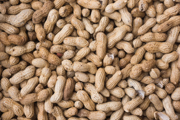 groundnut background