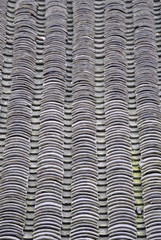 Shanghai, typical roof at the Xitang ancient town.