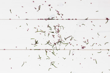 Pieces of erica flower on wood