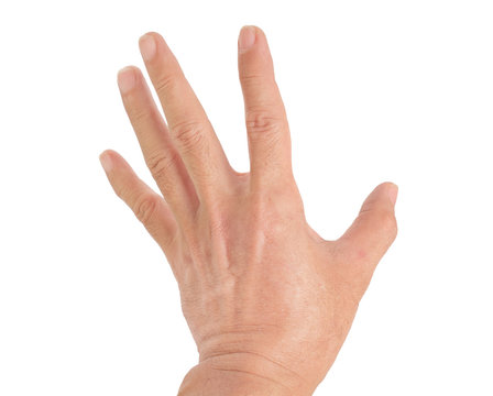 Human hand / Human hand on white background.