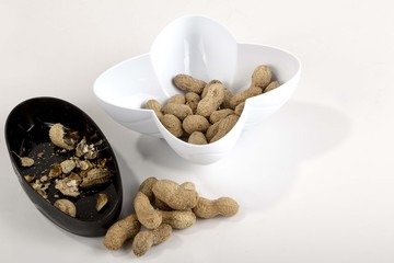 groundnut on white background