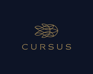 Fish line vector symbol. Abstract nautical logotype. Universal premium sea marine travel ship logo icon sign.