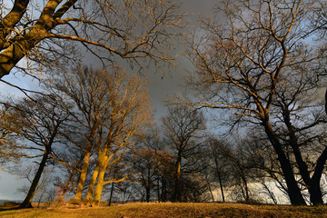 Evening on Varhost hill