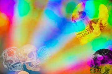 Abstract skull with color bokeh circles