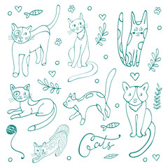 Cute set of hand drawn cats