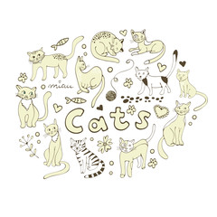 Cute hand drawn cats colorful set arranged in round composition
