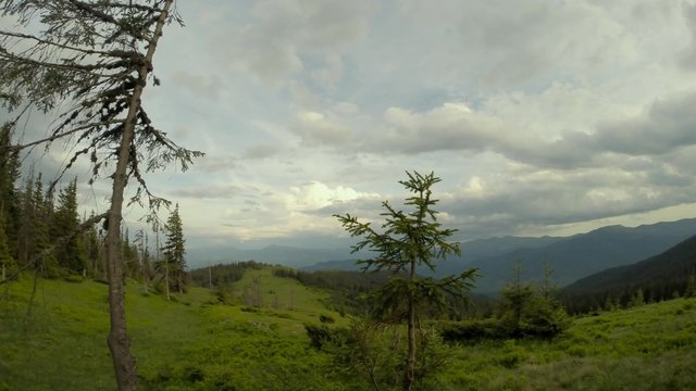 Clouds quickly float over several mangy spruce