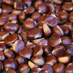 Many sweet chestnut fruit